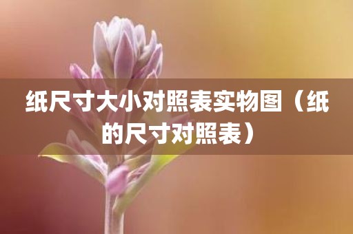 纸尺寸大小对照表实物图（纸的尺寸对照表）