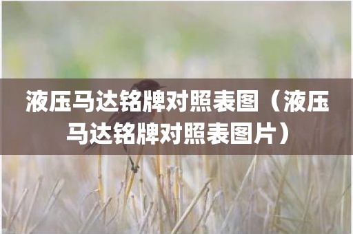 液压马达铭牌对照表图（液压马达铭牌对照表图片）