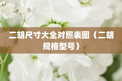 二胡尺寸大全对照表图（二胡规格型号）