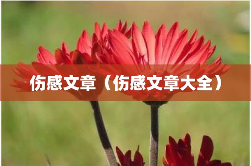 伤感文章(伤感文章大全) 伤感文章(伤感文章大全)