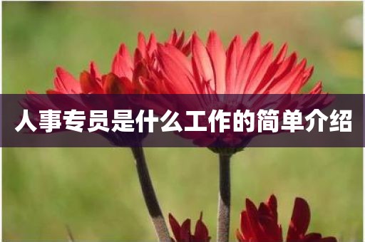 人事专员是什么工作的简单介绍