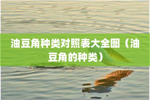 油豆角种类对照表大全图（油豆角的种类）