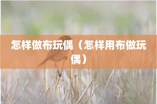 怎样做布玩偶（怎样用布做玩偶）