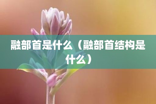 融部首是什么（融部首结构是什么）