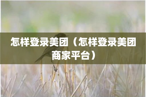 怎样登录美团（怎样登录美团商家平台）