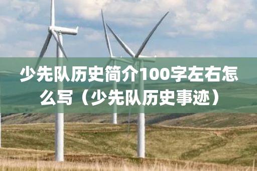 少先队历史简介100字左右怎么写（少先队历史事迹）