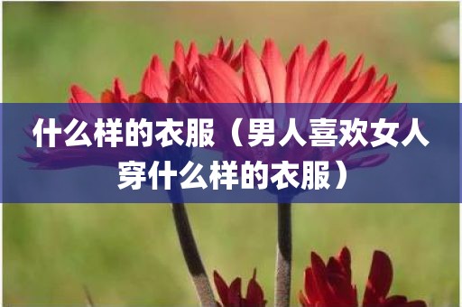 什么样的衣服（男人喜欢女人穿什么样的衣服）