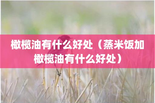 橄榄油有什么好处（蒸米饭加橄榄油有什么好处）