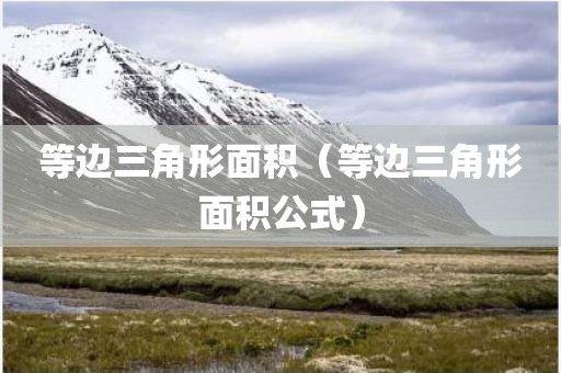 等边三角形面积（等边三角形面积公式）