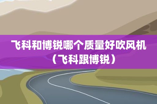 飞科和博锐哪个质量好吹风机（飞科跟博锐）