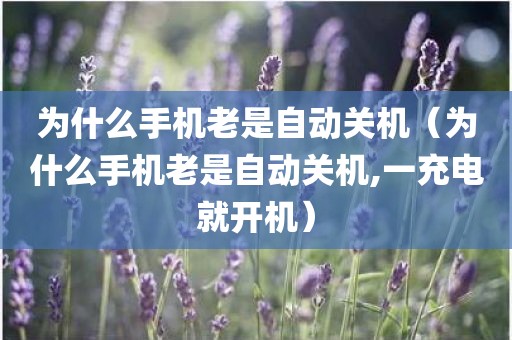 为什么手机老是自动关机（为什么手机老是自动关机,一充电就开机）