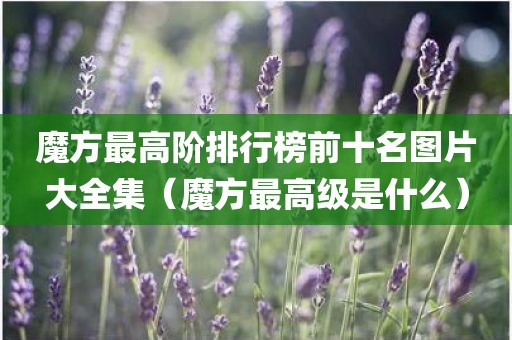 魔方最高阶排行榜前十名图片大全集（魔方最高级是什么）