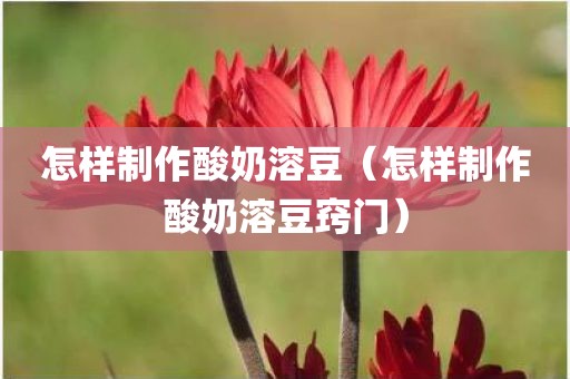 怎样制作酸奶溶豆（怎样制作酸奶溶豆窍门）