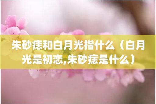 朱砂痣和白月光指什么（白月光是初恋,朱砂痣是什么）