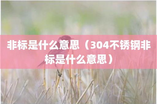 非标是什么意思（304不锈钢非标是什么意思）