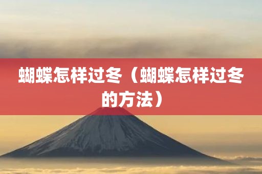 蝴蝶怎样过冬（蝴蝶怎样过冬的方法）