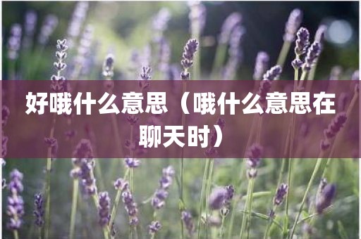 好哦什么意思(哦什么意思在聊天时)