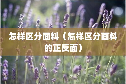 怎样区分面料（怎样区分面料的正反面）