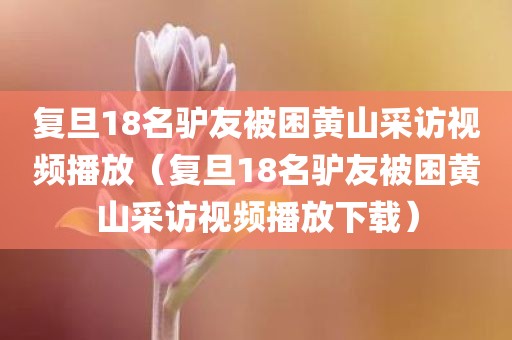 复旦18名驴友被困黄山采访视频播放（复旦18名驴友被困黄山采访视频播放下载）