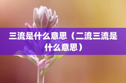 三流是什么意思（二流三流是什么意思）