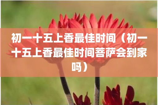 初一十五上香最佳时间（初一十五上香最佳时间菩萨会到家吗）