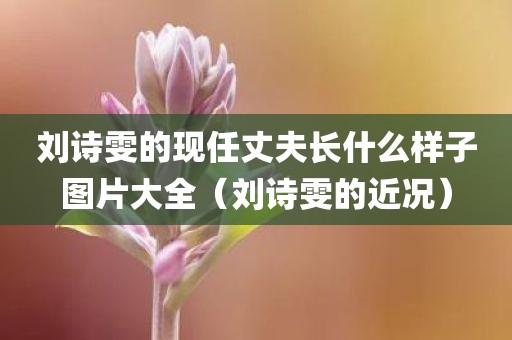 刘诗雯的现任丈夫长什么样子图片大全(刘诗雯的近况) 刘诗雯的现任丈夫长什么样子图片大全(刘诗雯的近况)
