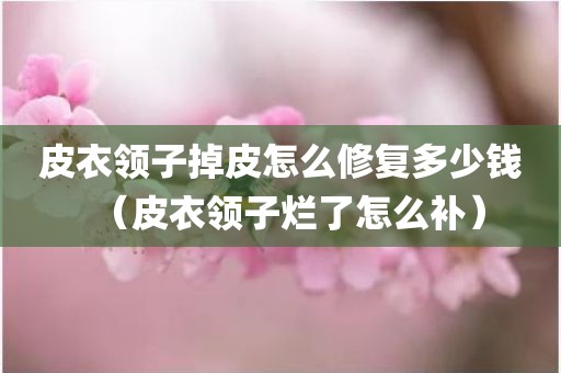 皮衣领子掉皮怎么修复多少钱(皮衣领子烂了怎么补)