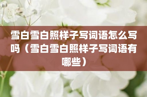 雪白雪白照样子写词语怎么写吗（雪白雪白照样子写词语有哪些）