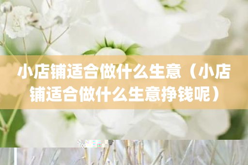 小店铺适合做什么生意（小店铺适合做什么生意挣钱呢）