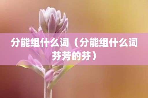 分能组什么词（分能组什么词芬芳的芬）
