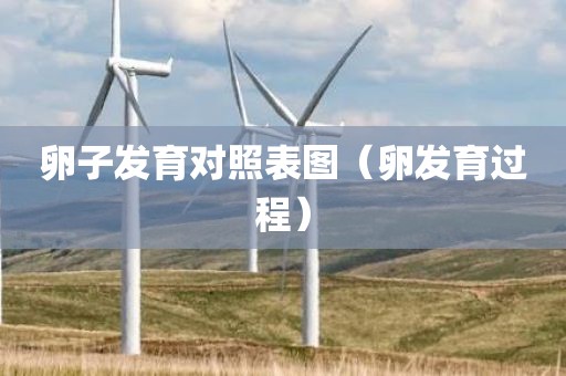 卵子发育对照表图（卵发育过程）