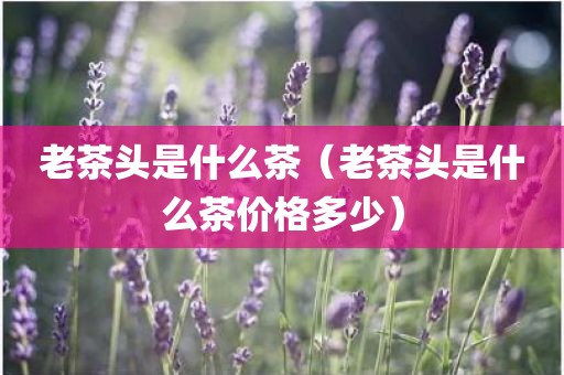 老茶头是什么茶（老茶头是什么茶价格多少）