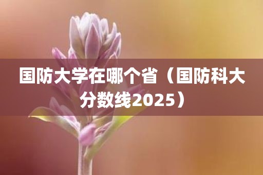 国防大学在哪个省（国防科大分数线2025）
