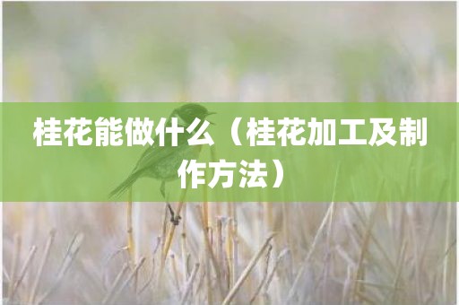 桂花能做什么（桂花加工及制作方法）