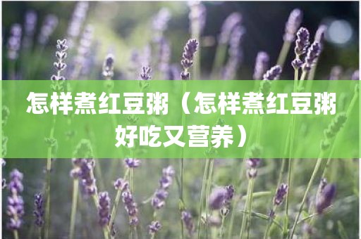 怎样煮红豆粥（怎样煮红豆粥好吃又营养）