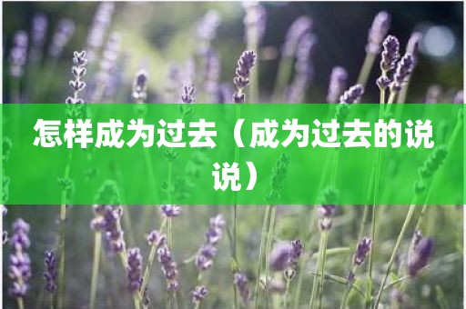 怎样成为过去（成为过去的说说）