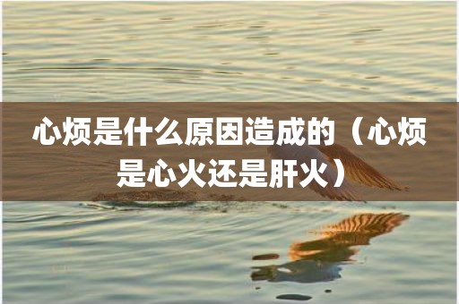 心烦是什么原因造成的（心烦是心火还是肝火）