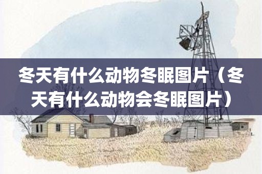 冬天有什么动物冬眠图片（冬天有什么动物会冬眠图片）