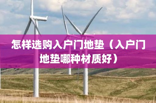 怎样选购入户门地垫（入户门地垫哪种材质好）
