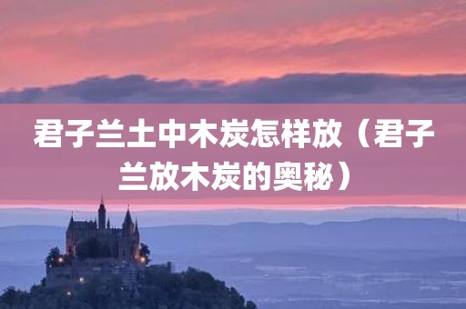 君子兰土中木炭怎样放（君子兰放木炭的奥秘）