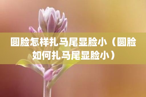 圆脸怎样扎马尾显脸小（圆脸如何扎马尾显脸小）