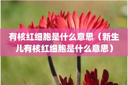 有核红细胞是什么意思（新生儿有核红细胞是什么意思）