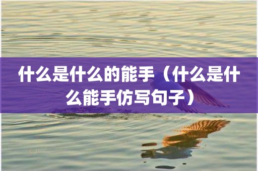 什么是什么的能手（什么是什么能手仿写句子）