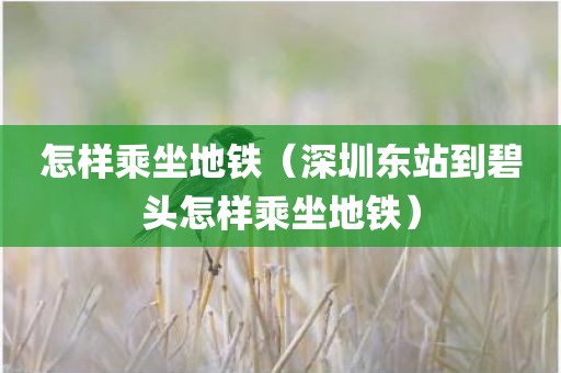 怎样乘坐地铁（深圳东站到碧头怎样乘坐地铁）