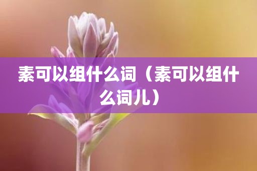 素可以组什么词（素可以组什么词儿）