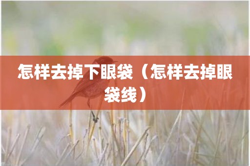 怎样去掉下眼袋（怎样去掉眼袋线）
