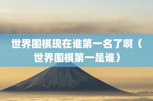 世界围棋现在谁第一名了啊(世界围棋第一是谁)
