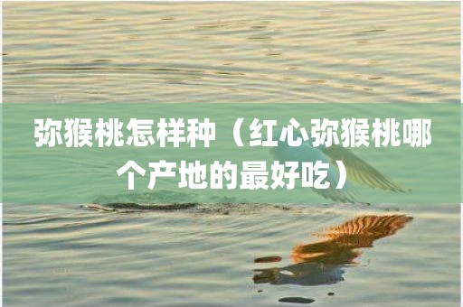 弥猴桃怎样种（红心弥猴桃哪个产地的最好吃）