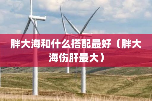 胖大海和什么搭配最好（胖大海伤肝最大）