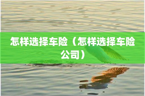怎样选择车险(怎样选择车险公司)